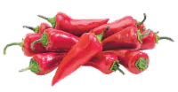 Jalapeno Peppers