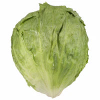 Organic Iceberg Lettuce 1 ct