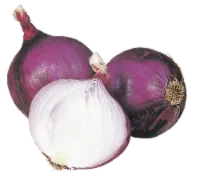 Organic Jumbo Red Onions 1 each