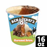 Ben & Jerry's Karamel Sutra® Ice Cream Pint 16 oz