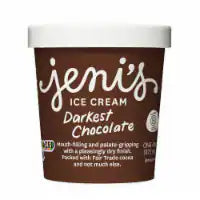 Jeni's Darkest Chocolate Ice Cream Pint