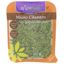 Brightfresh Micro Cilantro 1.75 oz