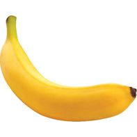 Organic Banana (1)