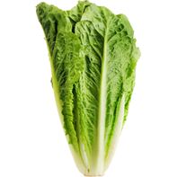 Organic Romaine Lettuce 1 each