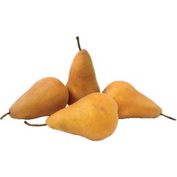 Organic Bosc Pear 1ct