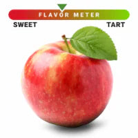 Honey Crisp Apple