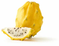 Yellow Dragon Fruit 1 ct