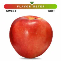 Large SweeTango Apple - Each