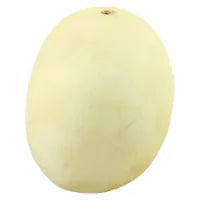 Honeydew Melon