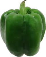 Fresh Bell Peppers