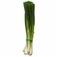 Green Onions 1 bunch