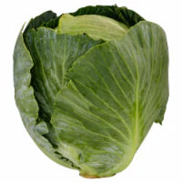 Green Cabbage 1 each