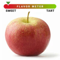Fuji Apple
