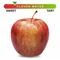 Small Gala Apple – Each