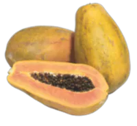 Papaya 1 count