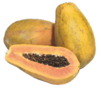 Mexican Papayas 1ct