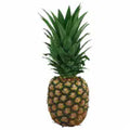 Fresh Ripe Whole Pineapple 1 ct