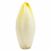 Belgian Endive Lettuce 1 each