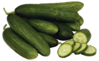 Persian Cucumber 1 each