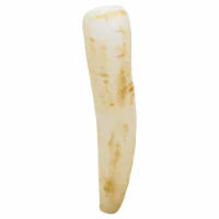 Daikon 1 each
