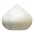 Garlic 1 each