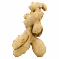 Ginger Root 1 Piece
