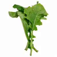 Curly Mustard Greens 1ct