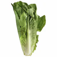 Romaine Lettuce 1 each
