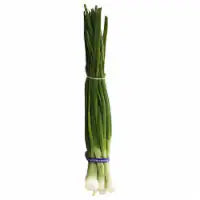 Organic Green Onions 1 bunch