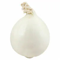 Jumbo White Onions 1 each