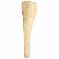 Parsnips Bulk 1 each