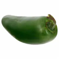 Fresh Jalapeno Peppers 1 each