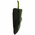 Pasilla Peppers 1 each