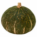 Buttercup Squash about 1LB