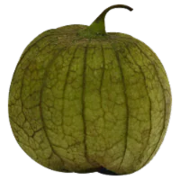 Tamatillo