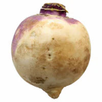 Turnip 1 each