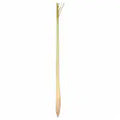 Lemon Grass 1 each