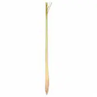Lemon Grass 1 each