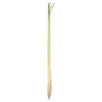 Lemon Grass $4.49/lb