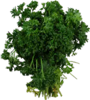 Fresh Parsley