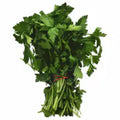Parsley - Italian 1 ct