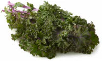 Organic Purple Kale 1 ct
