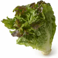 Organic Red Leaf Lettuce 1 ct