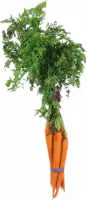 Organic Carrots Bunch 1 ct
