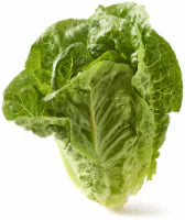 Organic Romaine Lettuce 1 ct