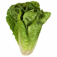 Organic Romaine Lettuce 1 each