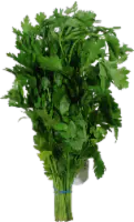 Organic Italian Parsley