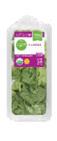 Simple Truth Organic™ Cilantro 0.5 oz