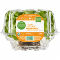 Simple Truth Organic™ Living Butter Lettuce 1 ct