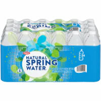 Ralphs® Natural Spring Bottled Water 24 bottles / 16.9 fl oz